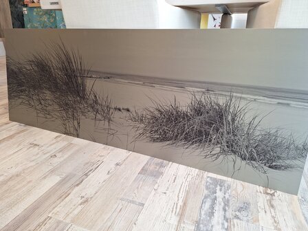 P173 Verloove Beach