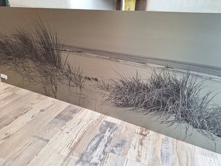 P173 Verloove Beach