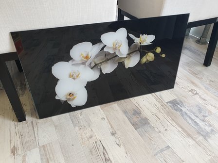 P85 Witte orchidee op zwart - 89,8x50cm -
