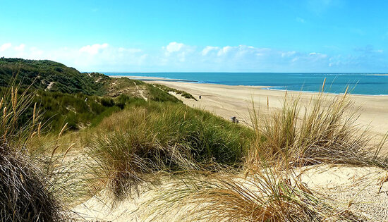 Uitsnede P183 Strand Schouwen