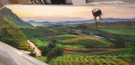 Premium-glas uitvoering P590 Ricefields in Vietnam