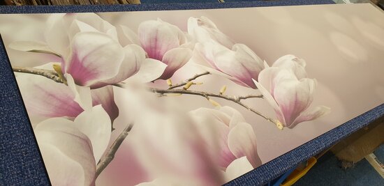 Op de inspectietafel: Premium-mat uitvoering Visuall P571 Flowering magnolia tree