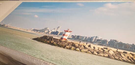 Op de inspectietafel. Premium-mat uitvoering Visuall P210 Scheveningen (Premium-mat uitvoering)