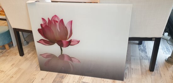 In onze showroom Premium-glas Visualls P499 Pink Lotus