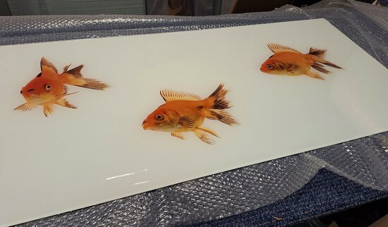 Op de inspectietafel: Premium-glas uitvoering Visuall P628 Goldfish