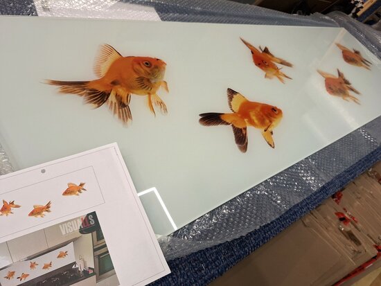 Op de inspectietafel: Premium-glas uitvoering Visuall P628 Goldfish