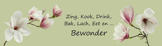 Plat ontwerp Visuall P616 Zing Kook Drink en Bewonder icm P104 magnolia