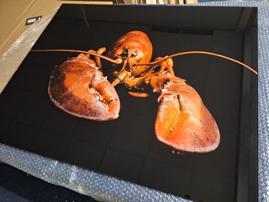 Op de inspectietafel: Premium-glas uitvoering Visuall P644 Lobster