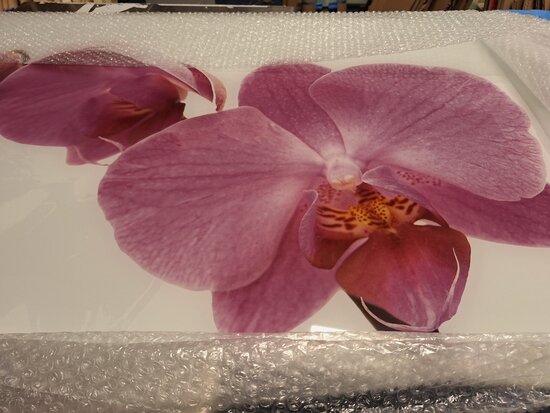 Premium-glas uitvoering Visuall P43 Roze orchidee