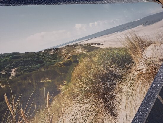 Premium-mat Visuall P183 Strand Schouwen (filter)