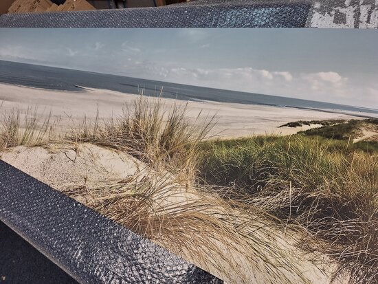 Premium-mat Visuall P183 Strand Schouwen (filter)