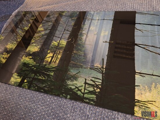 Premium glas uitvoering Visuall P701 Sunlit Forest