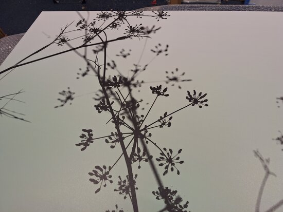 Premium-mat uitvoering Visuall P702 Hogweed Silhouette