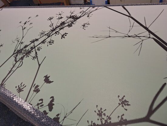 Premium-mat uitvoering Visuall P702 Hogweed Silhouette
