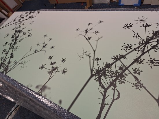 Premium-mat uitvoering Visuall P702 Hogweed Silhouette
