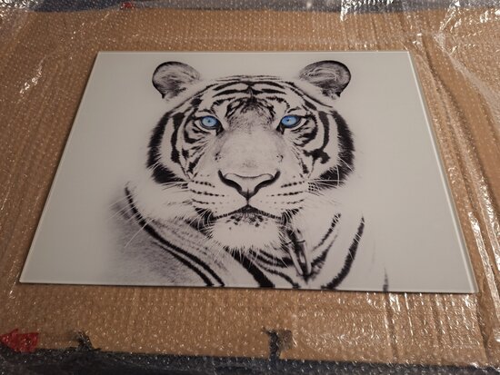 Premium-glas uitvoering P650 Bleu Eyed Tiger