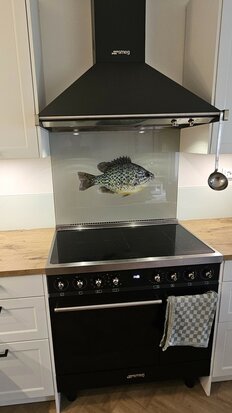 Premium-glas uitvoering Visuall P707 Pompoenzaadvis