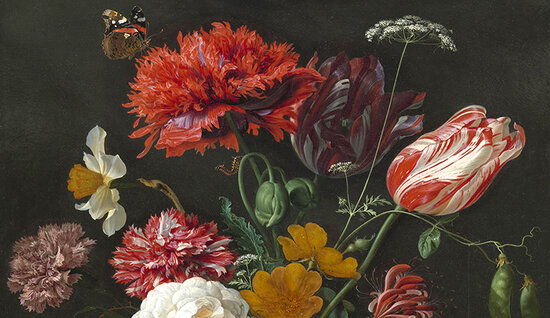 Kookplaatbeschermer type: RM23 Stilleven