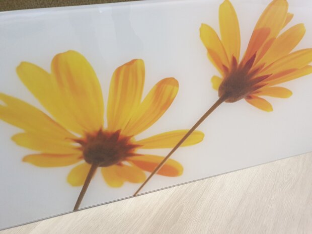 ** VERKOCHT ** Premiumglas spatwand Yellow Daisies