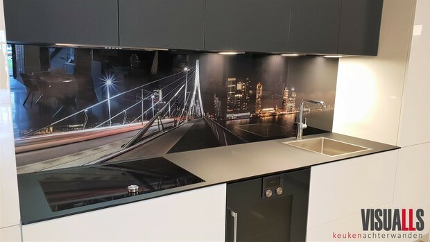 Premium-glas uitvoering Visuall R17 Rotterdam Erasmus KLEUR