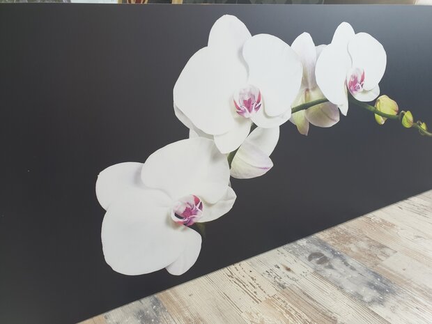 Premium-mat uitvoering P112 Orchid Carpenter