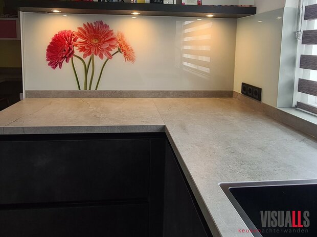 Premium-glas uitvoering Visuall P480 Roze Gerbera