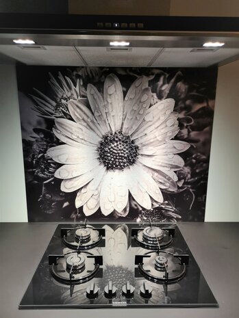 Premium-butler uitvoering Visuall P238 P238 Black & White Flower