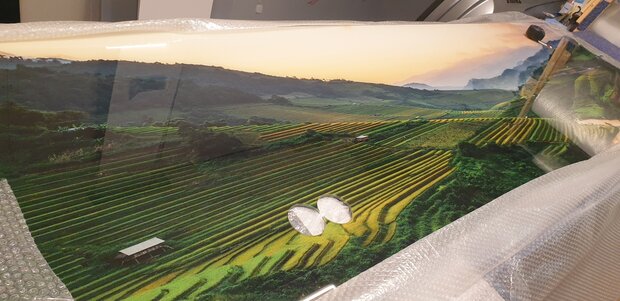 Premium-glas uitvoering P590 Ricefields in Vietnam