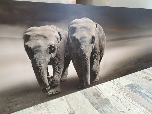 Premium-mat uitvoering Visuall P365 Elephants