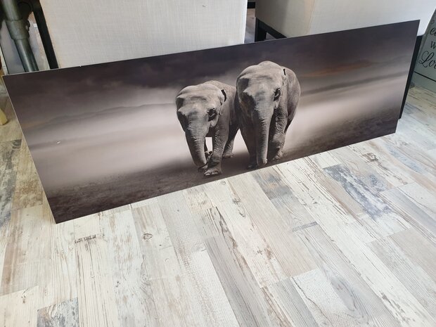 Premium-mat uitvoering Visuall P365 Elephants