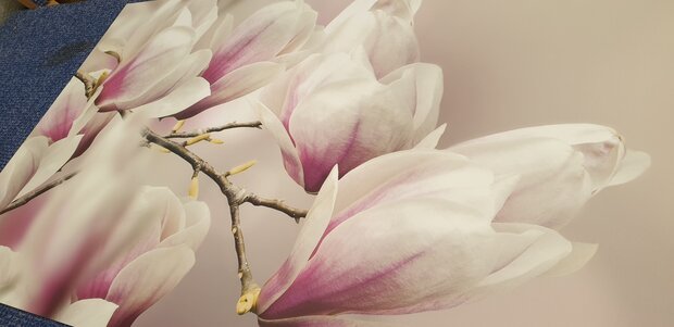 Op de inspectietafel: Premium-mat uitvoering Visuall P571 Flowering magnolia tree