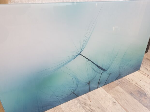 Premium-glas uitvoering Visuall P393 Dandelion blue