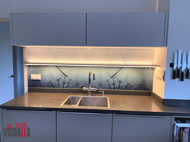 Premium-glas uitvoering Visuall P393 Dandelion blue