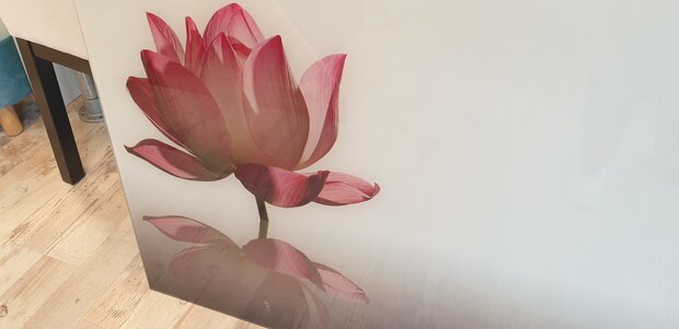 In onze showroom Premium-glas Visualls P499 Pink Lotus