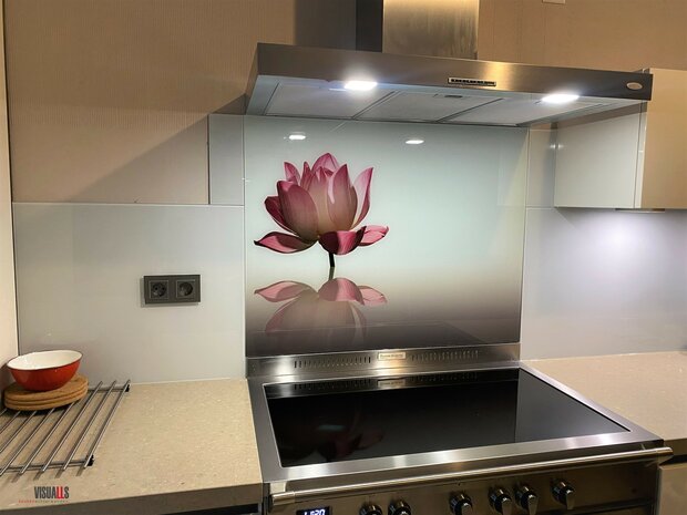 Premium-glas uitvoering P499 Pink lotus i.c.m. Glanzend glas RAL7047 Telegrijs4