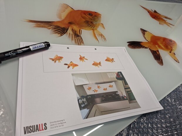 Op de inspectietafel: Premium-glas uitvoering Visuall P628 Goldfish