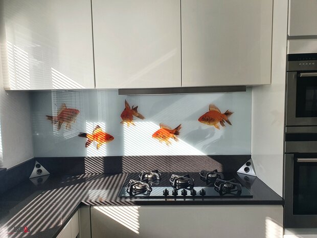 Premium-glas uitvoering Visuall P628 Goldfish