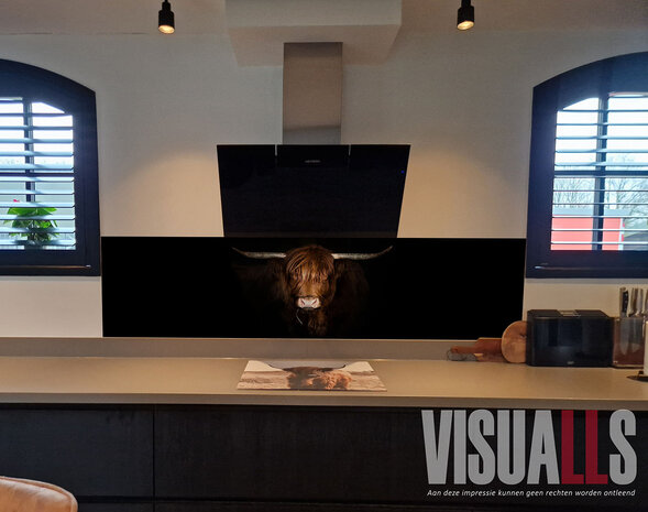 Impressie vooraf met Visuall Visuall P560 Schotse Hooglander