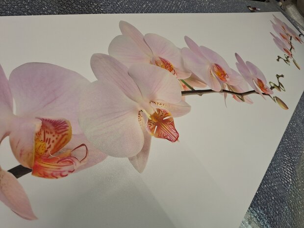 Premium-mat uitvoering P186 Pink orchid