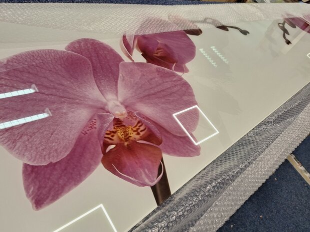 Premium-glas uitvoering Visuall P43 Roze orchidee