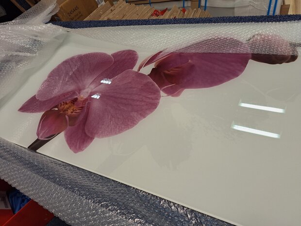 Premium-glas uitvoering Visuall P43 Roze orchidee