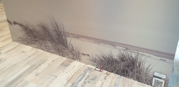 P173 Verloove Beach