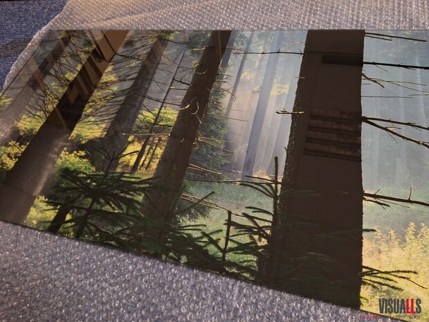 Premium glas uitvoering Visuall P701 Sunlit Forest