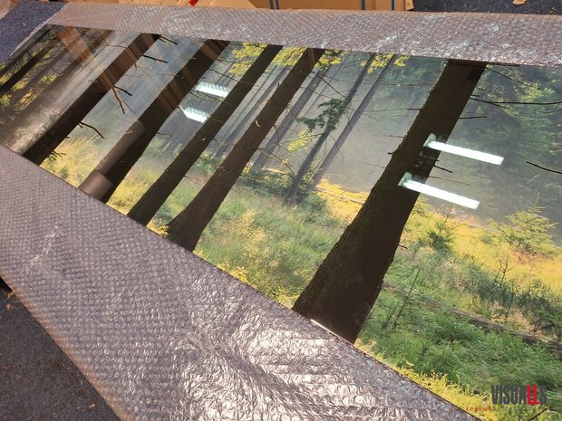 Premium glas uitvoering Visuall P701 Sunlit Forest