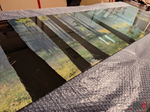 Premium glas uitvoering Visuall P701 Sunlit Forest