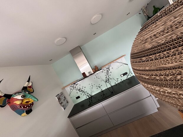 Premium-mat uitvoering Visuall P702 Hogweed Silhouette