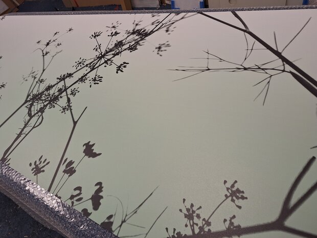Premium-mat uitvoering Visuall P702 Hogweed Silhouette