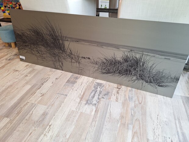 P173 Verloove Beach