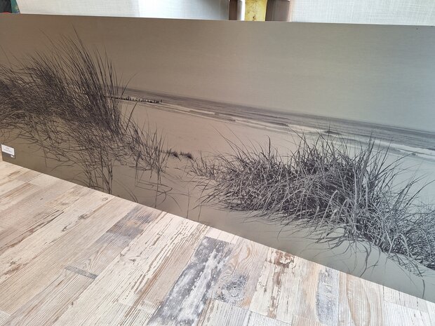 P173 Verloove Beach