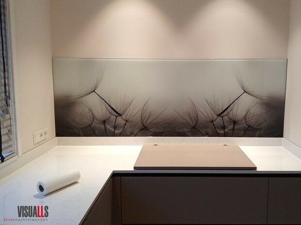 Premium-glas uitvoering Visuall P393 Dandelion grey